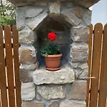 Buzavirag *