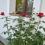 Apartment Buzavirag Szentbekkalla