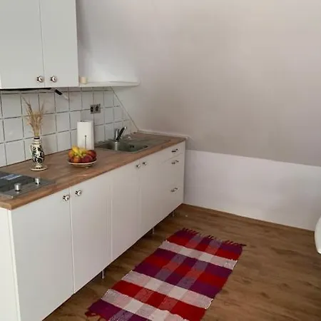 Apartament Buzavirag *