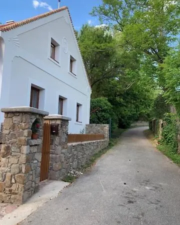 Apartament Buzavirag *