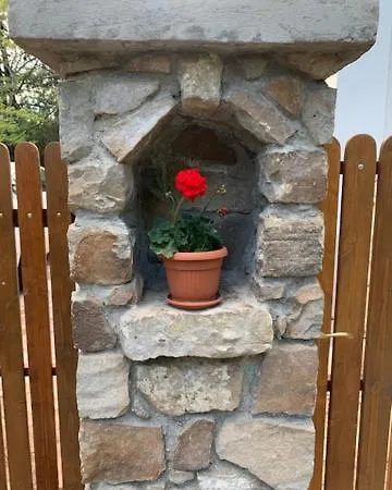Buzavirag *