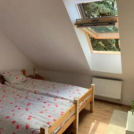 Buzavirag * 森特贝克卡尔洛