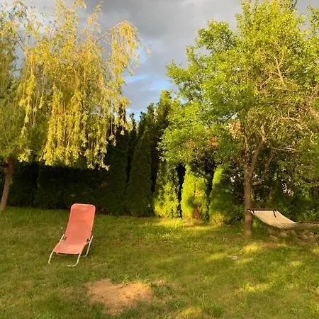 Apartament Buzavirag *
