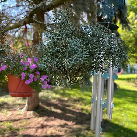 公寓 Buzavirag 森特贝克卡尔洛