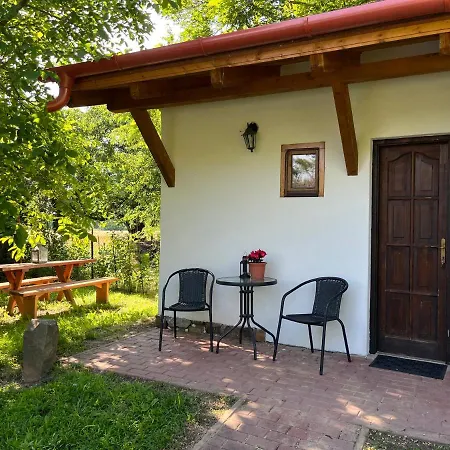 Buzavirag 森特贝克卡尔洛