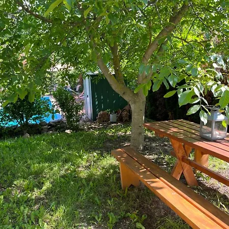 Buzavirag 公寓 森特贝克卡尔洛