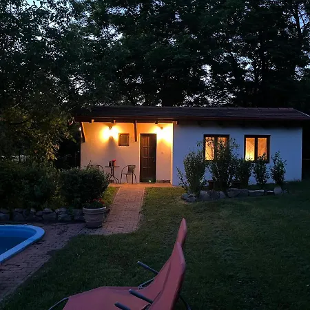 Buzavirag 森特贝克卡尔洛