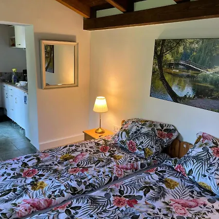 Apartament Buzavirag Szentbekkalla