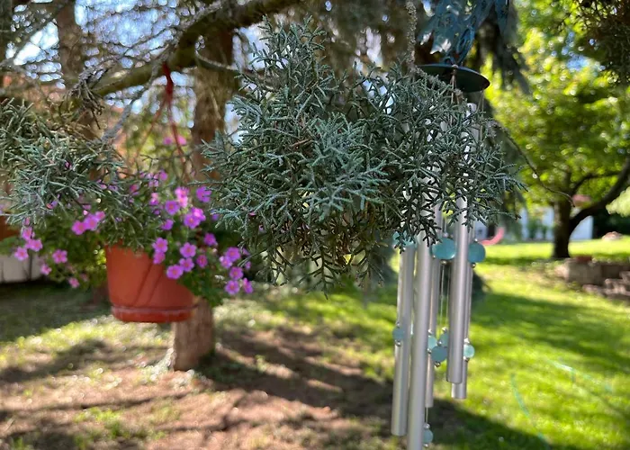 Appartement Buzavirag Szentbekkalla